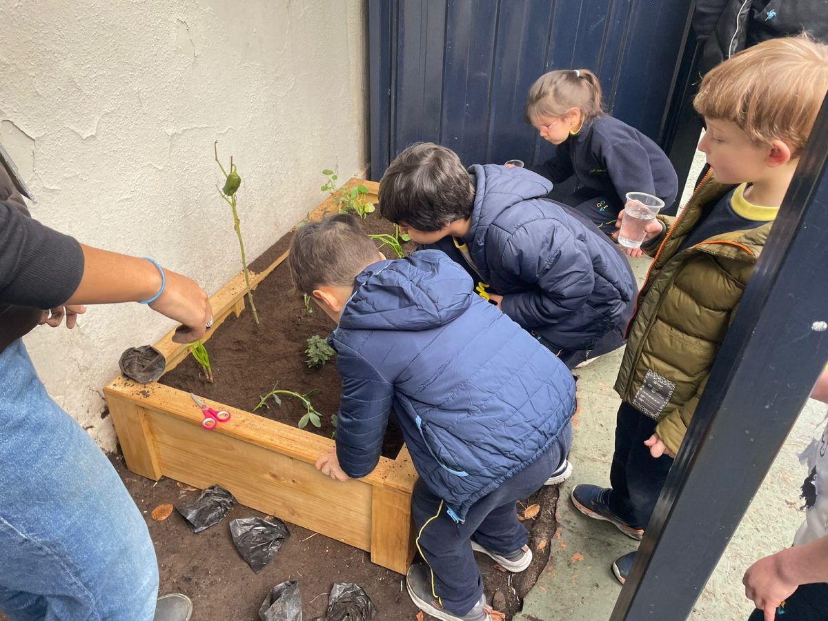 Nuestros niños/as se vinculan con la naturaleza