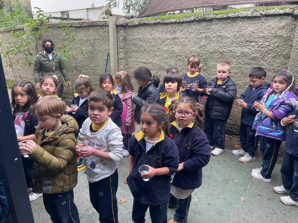 Nuestros niños/as se vinculan con la naturaleza