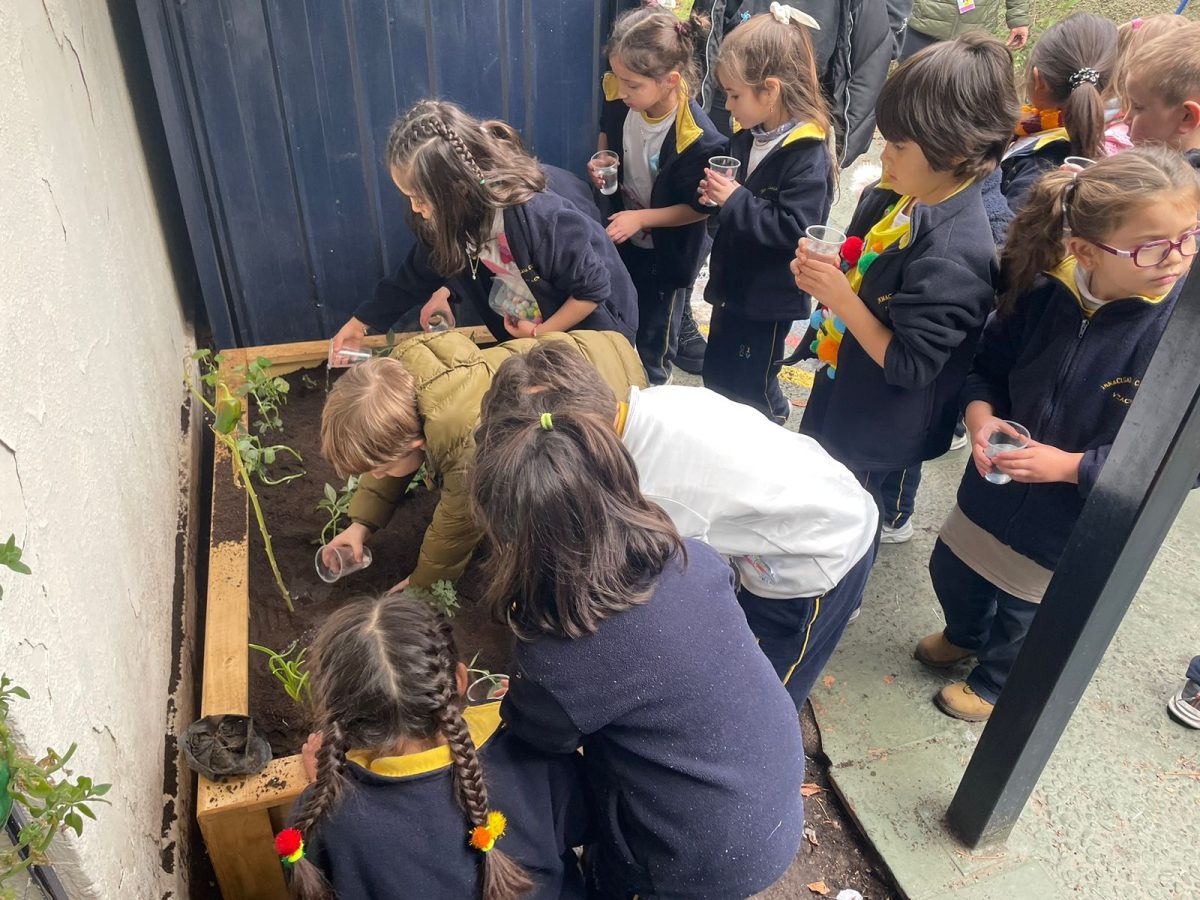 Nuestros niños/as se vinculan con la naturaleza