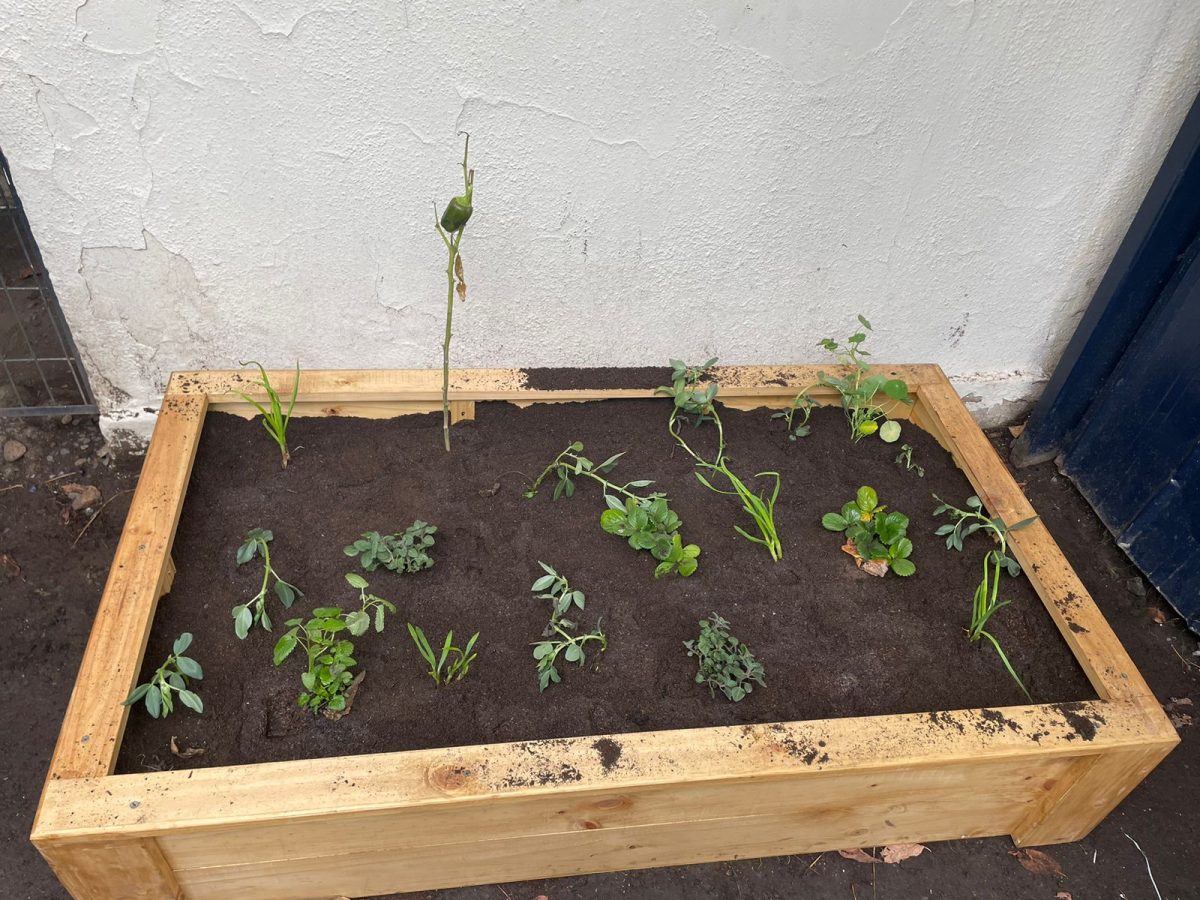 Nuestros niños/as se vinculan con la naturaleza