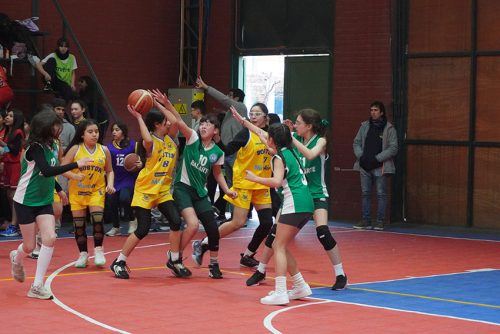 Básquetbol Damas Mini – Olimpiadas BostonEduca 2024