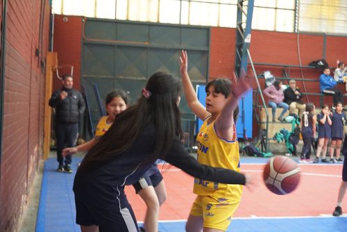 Básquetbol Damas Mini – Olimpiadas BostonEduca 2024