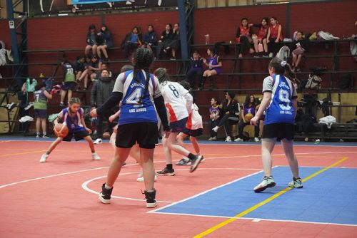 Básquetbol Damas Mini – Olimpiadas BostonEduca 2024