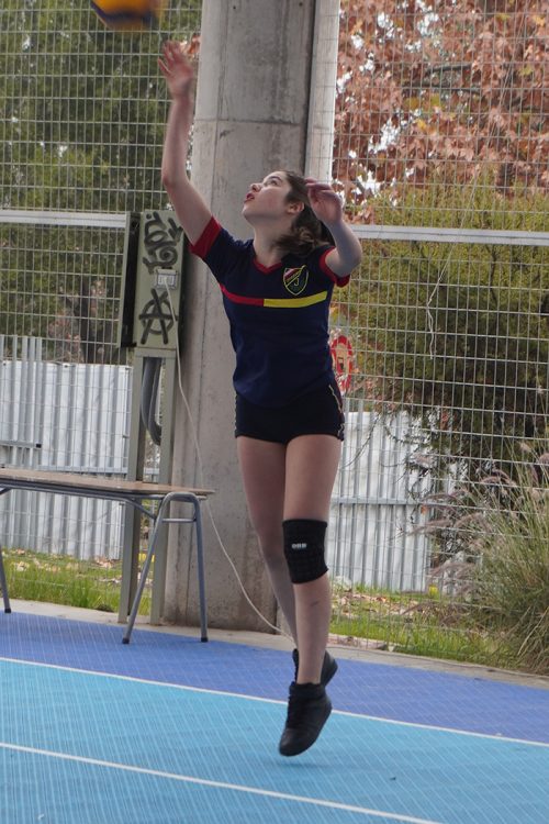 Vóleibol Intermedia Damas – Olimpiadas BostonEduca 2025