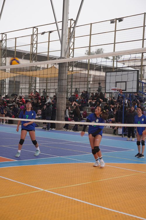 Vóleibol Intermedia Damas – Olimpiadas BostonEduca 2025