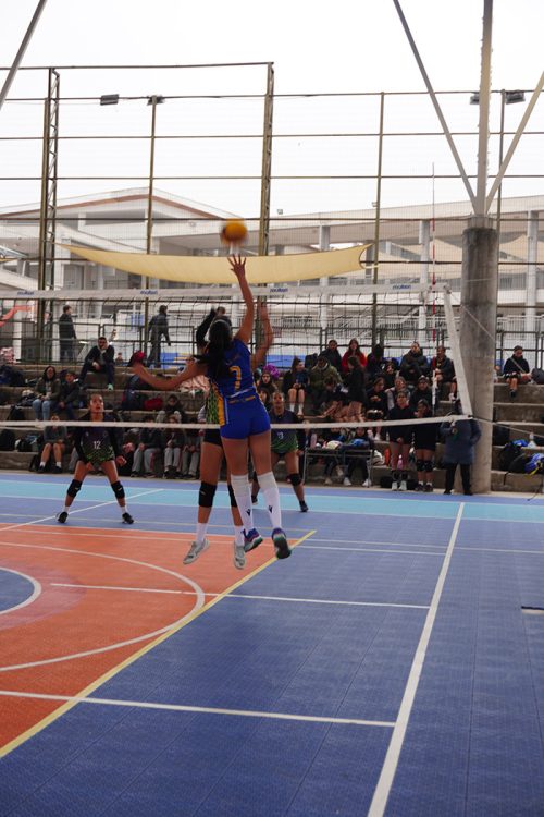 Vóleibol Intermedia Damas – Olimpiadas BostonEduca 2025