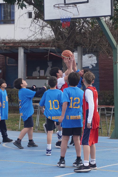 Olimpiadas BostonEduca 2025 – Básquetbol Mini Varones