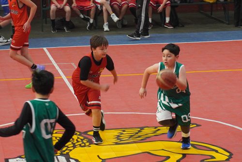Olimpiadas BostonEduca 2025 – Básquetbol Mini Varones