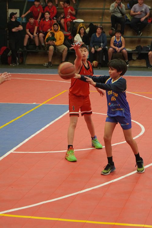 Olimpiadas BostonEduca 2025 – Básquetbol Mini Varones