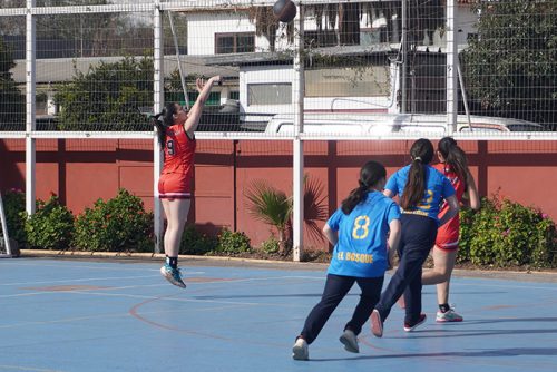 Básquetbol Intermedia Damas – Olimpiadas BostonEduca 2025
