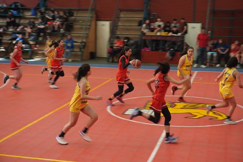 Básquetbol Intermedia Damas – Olimpiadas BostonEduca 2025