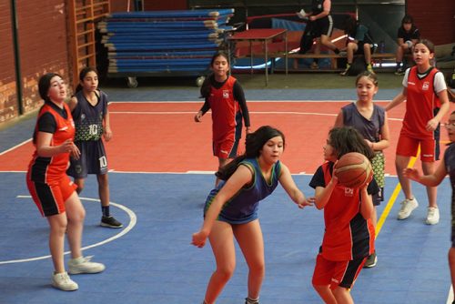 Básquetbol Mini Damas – Olimpiadas BostonEduca 2025