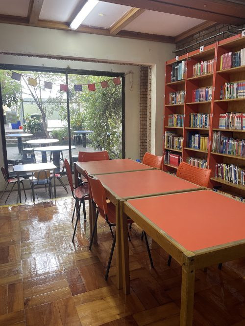 Nuestra Biblioteca vuelve a brillar