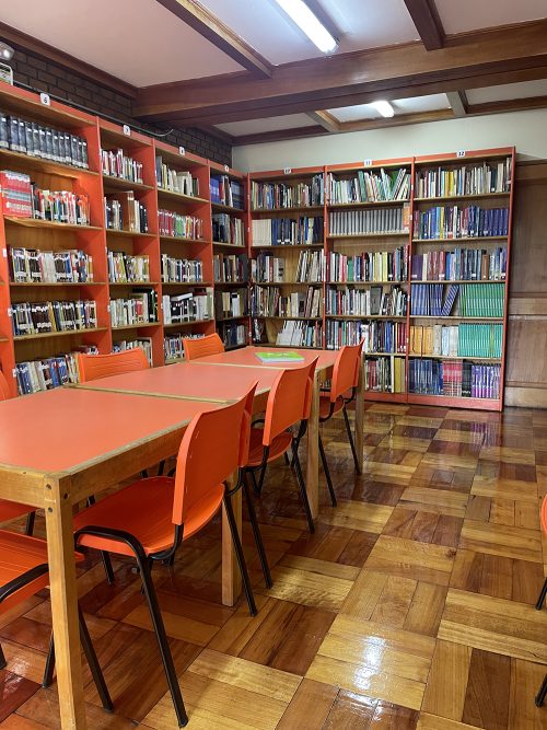 Nuestra Biblioteca vuelve a brillar
