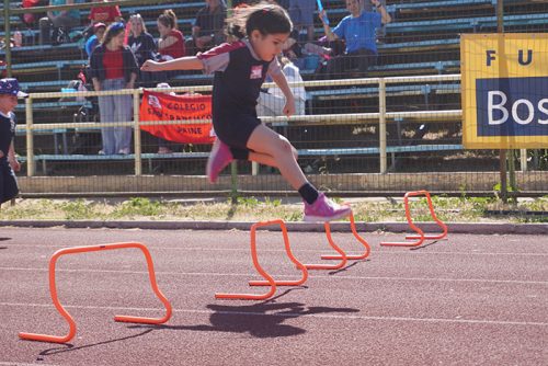 Atletismo Pre Escolar – Olimpiadas BostonEduca 2025