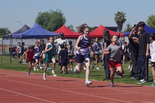 Atletismo 1° a 6° Básico – Olimpiadas BostonEduca 2025