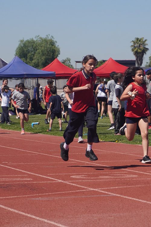 Atletismo 1° a 6° Básico – Olimpiadas BostonEduca 2025