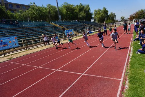 Atletismo 1° a 6° Básico – Olimpiadas BostonEduca 2025