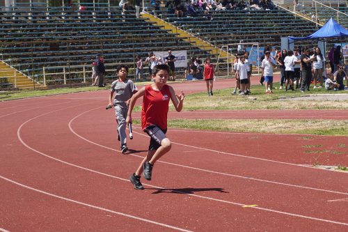 Atletismo 1° a 6° Básico – Olimpiadas BostonEduca 2025