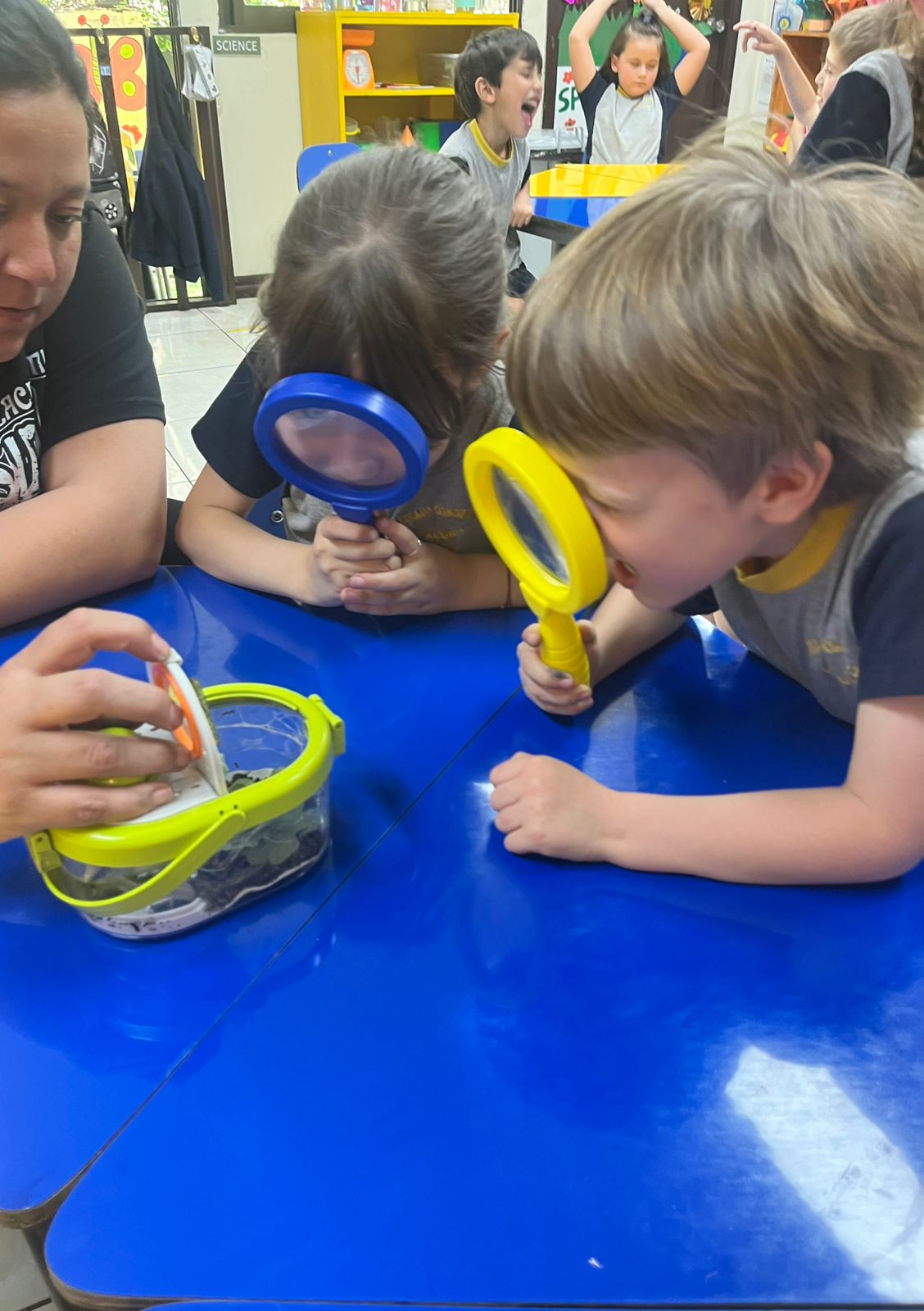 Una maravillosa experiencia de aprendizaje en Kínder