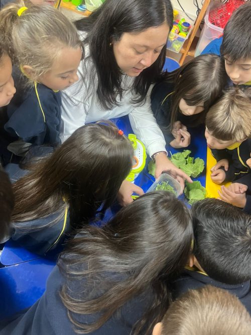 Una maravillosa experiencia de aprendizaje en Kínder