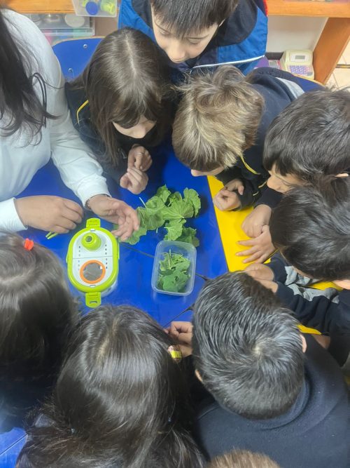 Una maravillosa experiencia de aprendizaje en Kínder