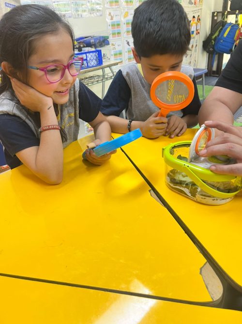 Una maravillosa experiencia de aprendizaje en Kínder