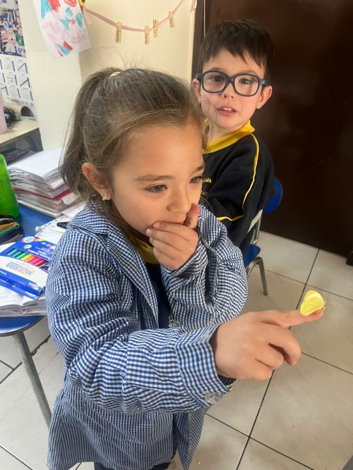 Una maravillosa experiencia de aprendizaje en Kínder