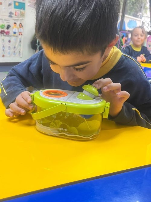 Una maravillosa experiencia de aprendizaje en Kínder