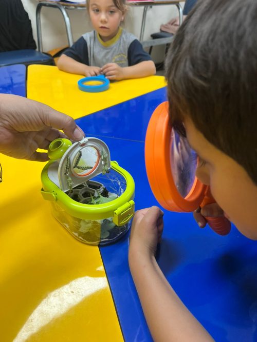 Una maravillosa experiencia de aprendizaje en Kínder