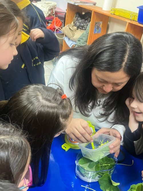 Una maravillosa experiencia de aprendizaje en Kínder