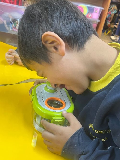 Una maravillosa experiencia de aprendizaje en Kínder