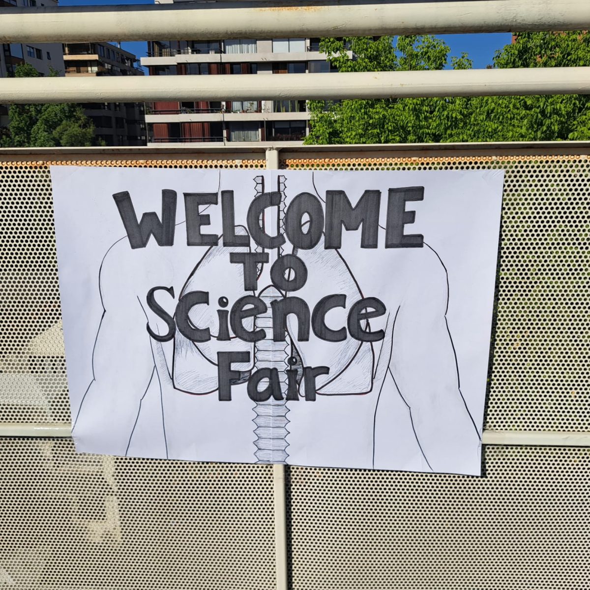 Explorando el Cuerpo Humano desde la Ciencia y la Creatividad