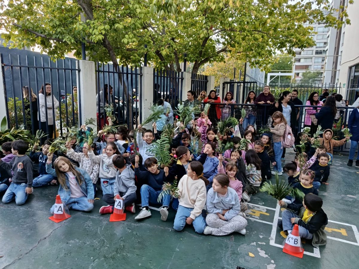 Unidos en la fe: así vivimos la Bendición de Ramos