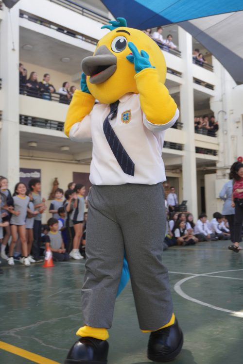 ¡Bienvenido, “Cicvito”! Nuestra comunidad celebra el nacimiento de su mascota institucional