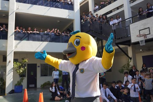 ¡Bienvenido, “Cicvito”! Nuestra comunidad celebra el nacimiento de su mascota institucional