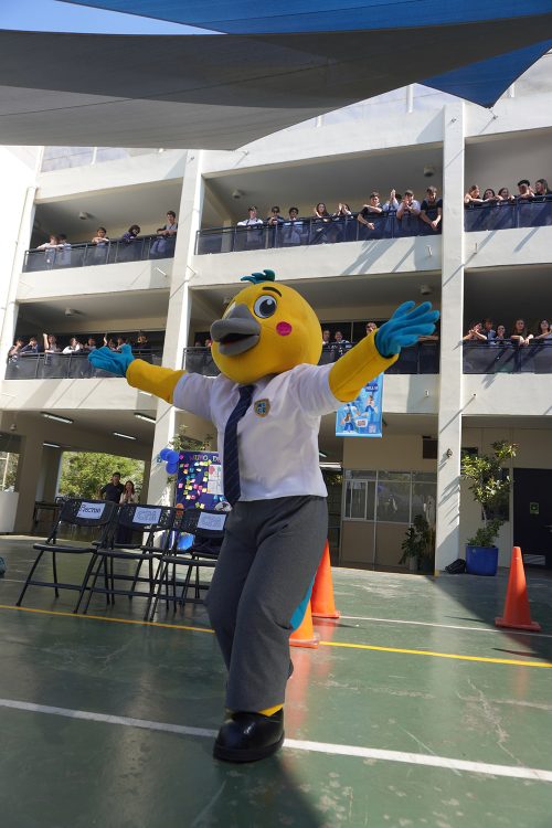 ¡Bienvenido, “Cicvito”! Nuestra comunidad celebra el nacimiento de su mascota institucional