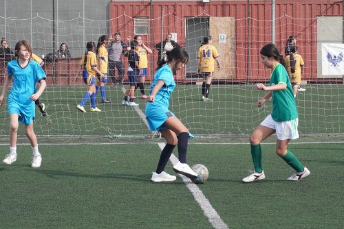 Futbolito Mini Damas – Olimpiadas BostonEduca 2026