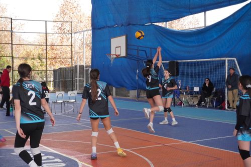 Vóleibol Intermedia Damas – Olimpiadas BostonEduca 2026