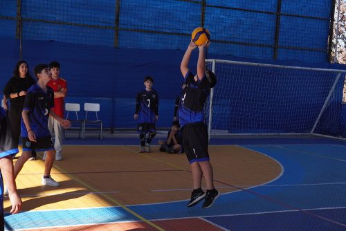 Vóleibol Mini Varones – Olimpiadas BostonEduca 2026