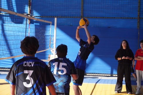 Vóleibol Mini Varones – Olimpiadas BostonEduca 2026