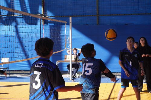 Vóleibol Mini Varones – Olimpiadas BostonEduca 2026