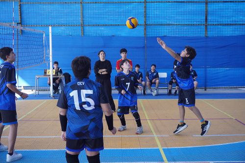Vóleibol Mini Varones – Olimpiadas BostonEduca 2026