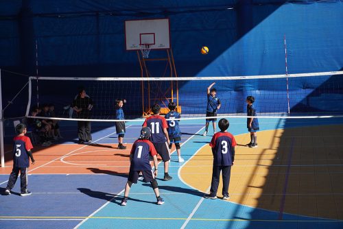 Vóleibol Mini Varones – Olimpiadas BostonEduca 2026