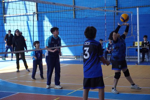 Vóleibol Mini Varones – Olimpiadas BostonEduca 2026