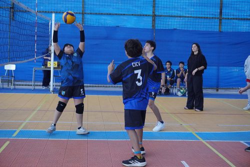 Vóleibol Mini Varones – Olimpiadas BostonEduca 2026