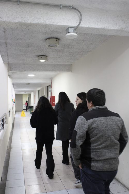 Open Day 2026: una mañana para conocer CICV