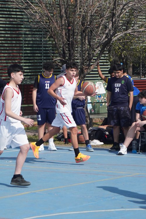 Básquetbol Intermedia Varones – Olimpiadas BostonEduca 2026