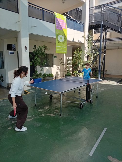 Día del Deporte Familiar: Una Fiesta de Comunidad y Alegría