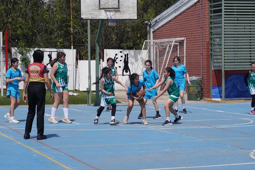 Básquetbol Mini Damas – Olimpiadas BostonEduca 2026